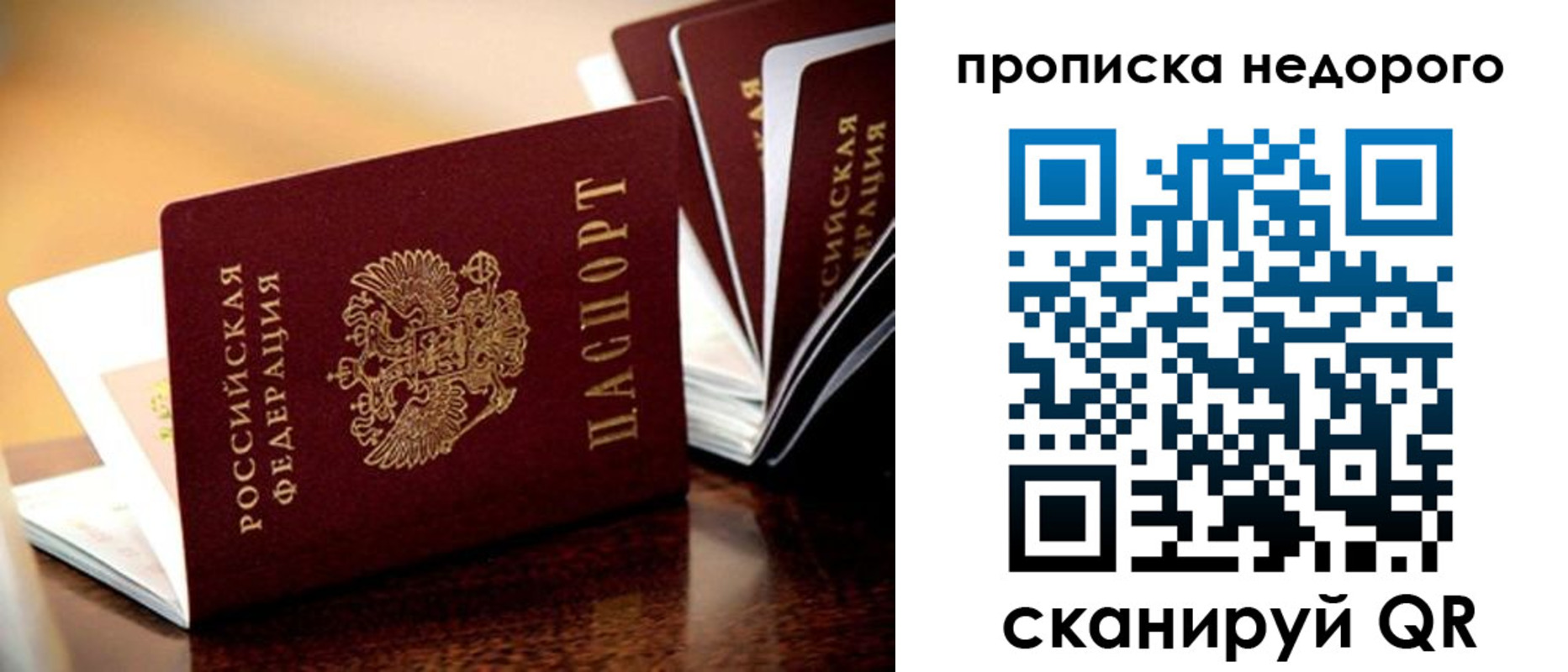 временная прописка в Оленегорске